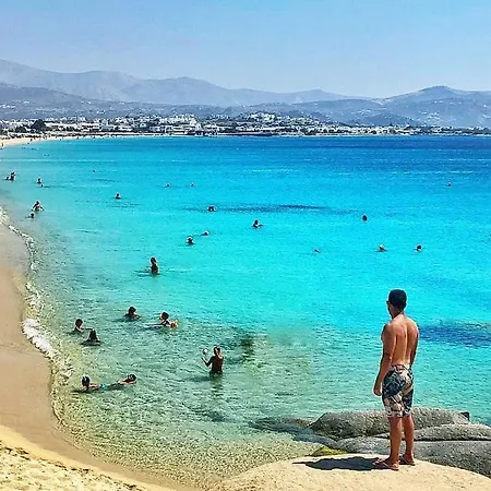 στούντιος βαγγέλης Διαμέρισμα Άγιος Προκόπιος